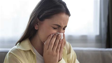 Nervous Systems Key Role In Severe Allergy Shocks Study Health