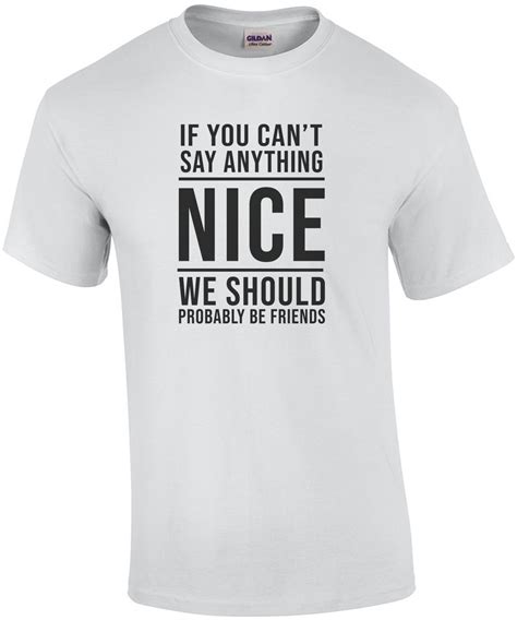 If You Can T Say Anything Nice We Should Probably Be Friends Sarcastic T Shirt