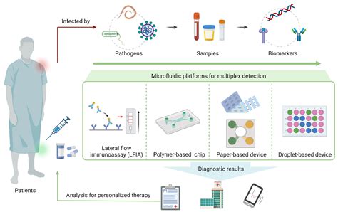 biosensors free full text multiplex detection of infectious diseases on microfluidic platforms