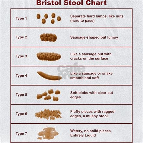 Bristol Stool Chart Kids