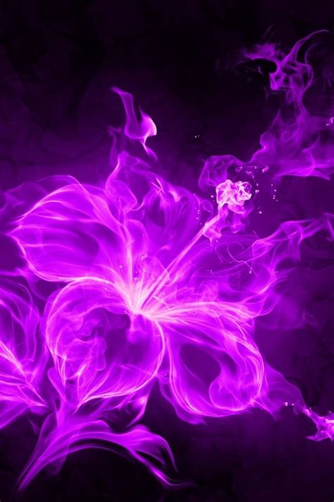 We have a massive amount of desktop and mobile backgrounds. neon purple | Purple hibiscus, Fire flower, All things purple