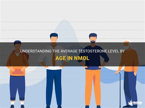 Understanding The Average Testosterone Level By Age In Nmol Medshun