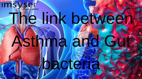 The Link Between Asthma And Gut Bacteria Imsyser