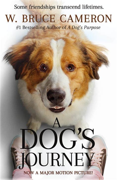 1920x1080px 1080p Free Download A Dogs Journey A Novel Ebook By W