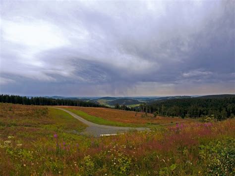 Free Images Landscape Tree Nature Grass Horizon Marsh Mountain