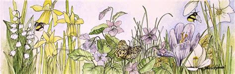 Spring Garden Flowers Watercolor Botanical Illustration