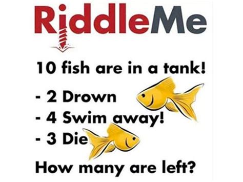 Confusing Riddles With Answers In English