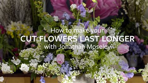 How To Make Your Cut Flowers Last Longer Youtube