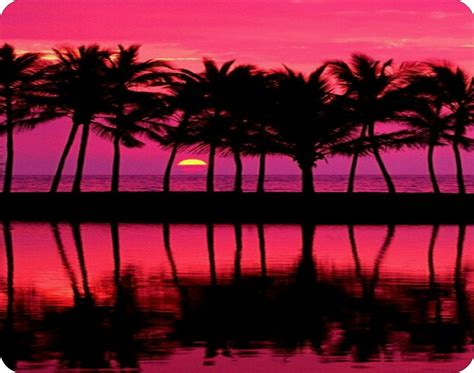 Storenvy Pink Palm Trees Mousepad Sunset Wallpaper Scenery Nature