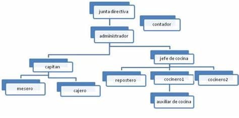 Este permite dividir el trabajo de una manera eficiente y evitar confusiones durante la división de tareas. Albaricoque restaurante: DEFINICIÓN ESTRUCTURA ORGANIZACIONAL