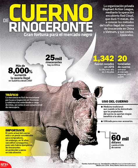Cuerno De Rinoceronte