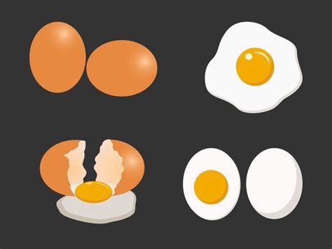 Egg Vector Set Isolated On White Background Vector Illustration
