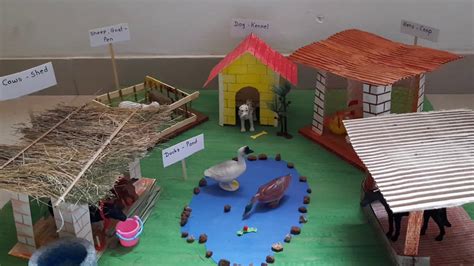 Animal Homes School Project Farm House Project Domestic Animal