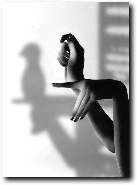 黑白black And White Shadow Photography Hand Shadows Shadow Art