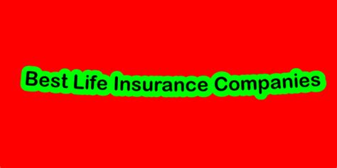 Top 5 Best Life Insurance Companies
