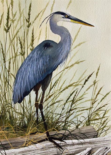 Blue Herons Bright Shore Greeting Card By James Williamson Heron Art