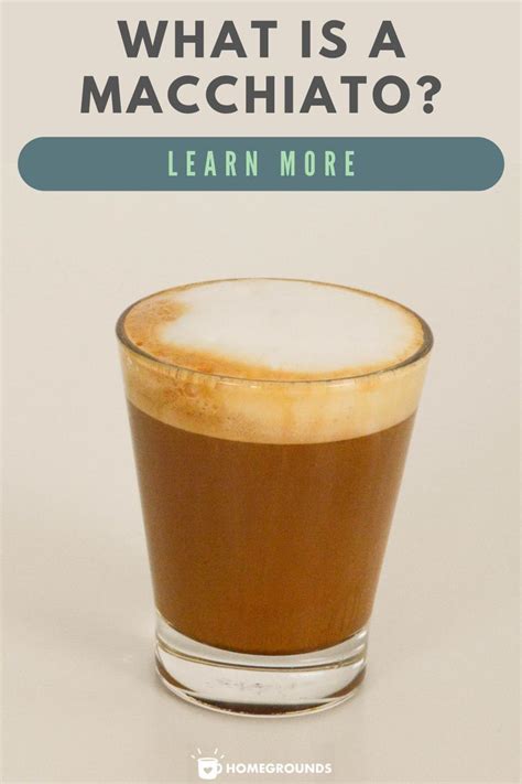 Wide selection of black coffee and coffee with milk. Cappuccino vs Latte vs Macchiato: What's The Difference ...