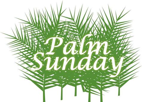 Palm Sunday Sign All Symbol And Interesting Facts Happy Wishes Sayings