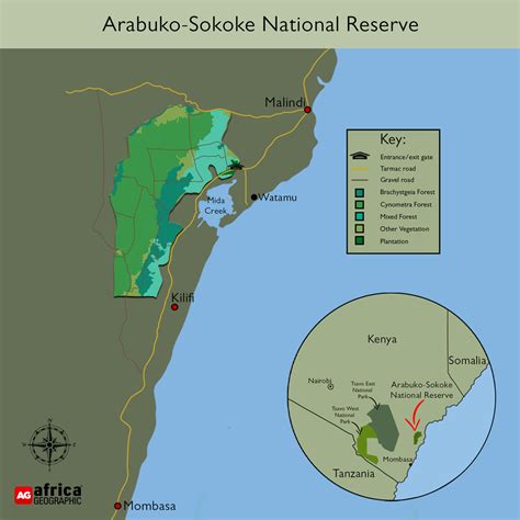 Arabuko Sokoke Forest Africa Geographic
