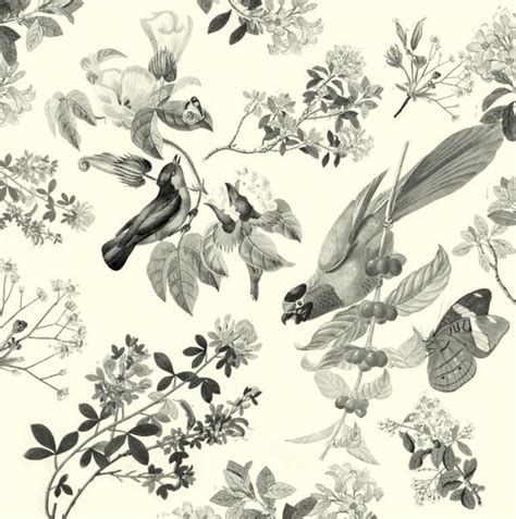 Vintage Bird Wallcovering Yahoo Search Results Yahoo