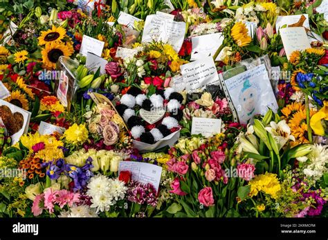 Floral Tributes For Queen Elizabeth II In The Floral Tribute Garden In