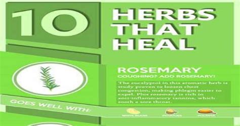Top 10 Herbs That Heal Infographic