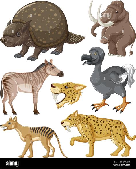 Collection Of Extinct Animals Illustration Stock Vector Image And Art Alamy