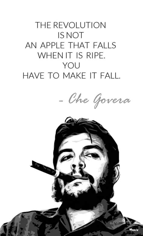 A revolutionary life gives an admirably balanced account of the argentine adventurer, his real achievements and glamorous as such i finish this review with a quote from the man himself. Che Guevara Quotes Like The Revolution Is Not An Apple HD Wallpaper