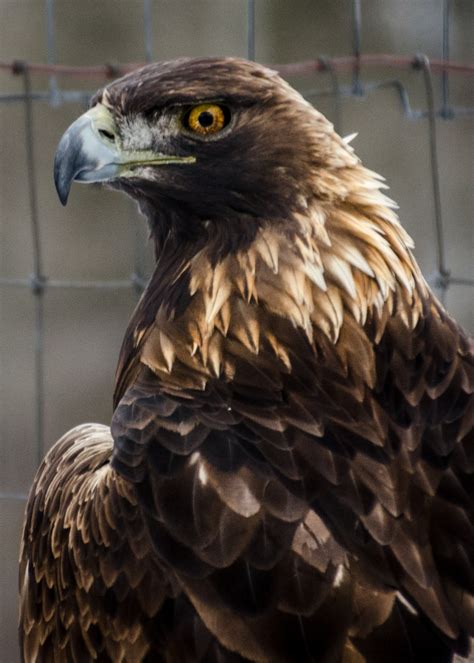 6,482 likes · 273 talking about this · 5,432 were here. Albums | Missoula Harley Owners Group (HOG)Missoula Harley ...