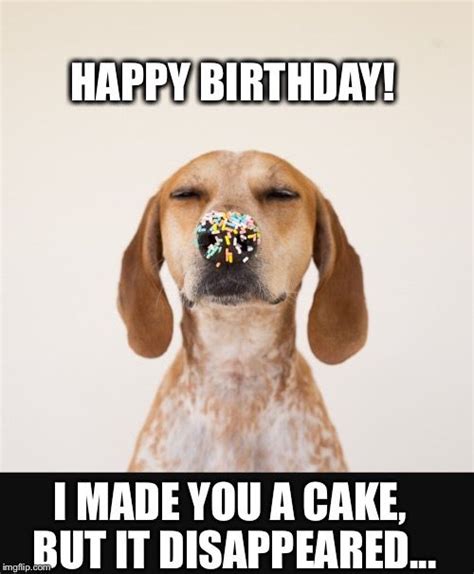 Birthday Memes And S Imgflip Happy Birthday Dog Funny Birthday