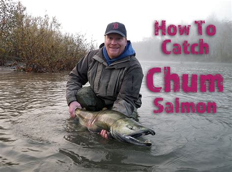 5 Proven Methods For Chum Salmon Fishing In Rivers