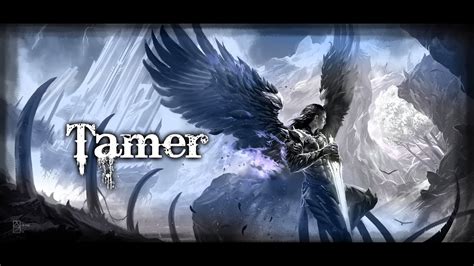 Both of their pve is kinda meh, especially tamer. Black Desert Online -Tamer Gameplay - YouTube