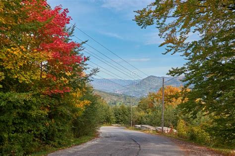 Winding Road Through The Trees In Autumn Stock Photo Image Of Leaves