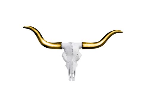 Buy Large Faux Texas Longhorn Cow Skull Wall Hanging Sculpture By Wall