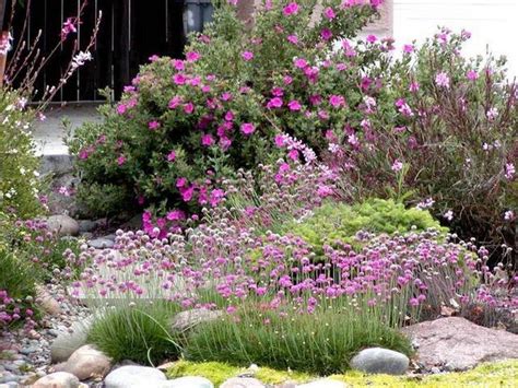 Here are some tough perennials that grow well in dry shade! 165 best images about California Native Plants USDA Zone ...