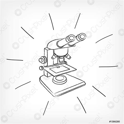 Discover More Than Compound Microscope Pencil Sketch Latest Seven Edu Vn