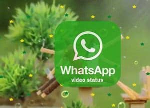 Express the true feelings of your love, and you have the power to remind your partner immediately. Download WhatsApp Video Love Status to Share with Loved One