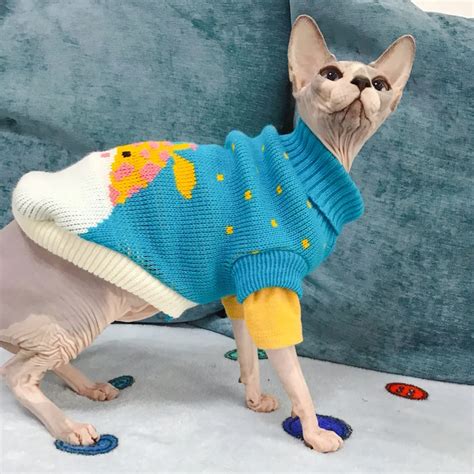 Beautiful Sphynx Cat Sweater