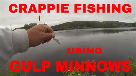 Fishing For Crappies From The Side Of Road Using Gulp Minnows Youtube