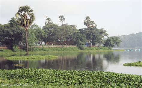 Redgannet Powai Lake Mumbai India