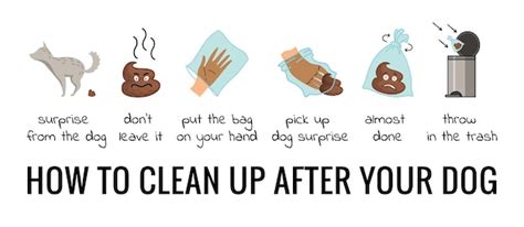 Premium Vector Dog Poo Clean Up Steps Infographic Set