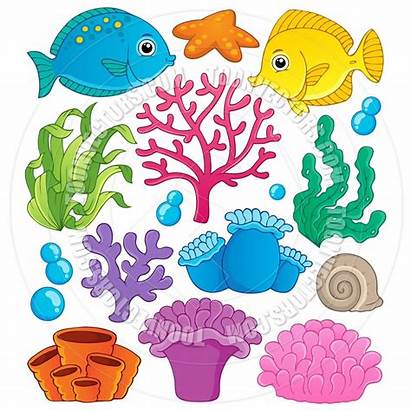 Cartoon Sea Animals Coral Reef Drawing Clip