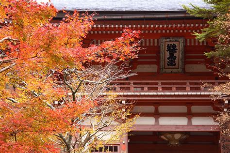 We did not find results for: 鞍馬寺 | Photek (tcd024)