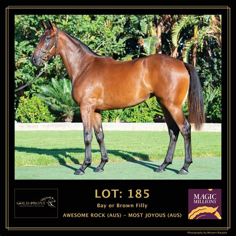 Yearlings For Sale Gold Front Thoroughbred Breeding