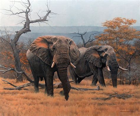 Savanna Elephants 2006 Johan Hoekstra Wildlife Art Johan