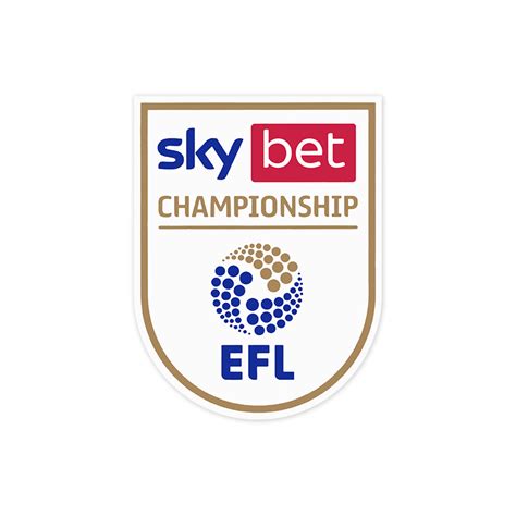 2020 22 sky bet efl championship player issue patch
