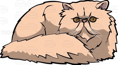 A Modern Persian Cat Persian Cat Drawing Cat Sketch Cat Vector