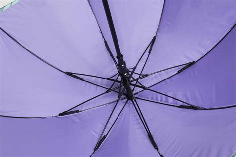 Logo Umbrellas Logu Fibrestorm Auto City Walker Umbrella