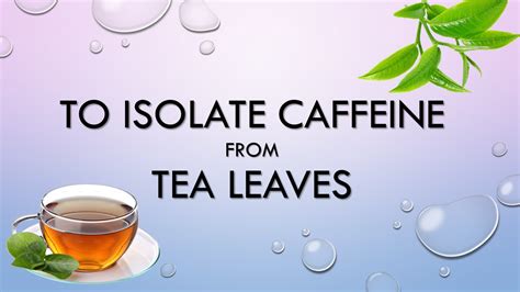 To Isolate Caffeine From Tea Leaves Pharmacognosy Herbal Drugs Technology