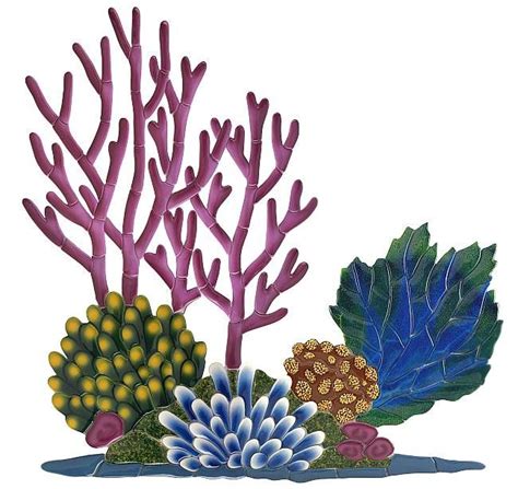 Clipart Coral 10 Free Cliparts Download Images On Clipground 2024